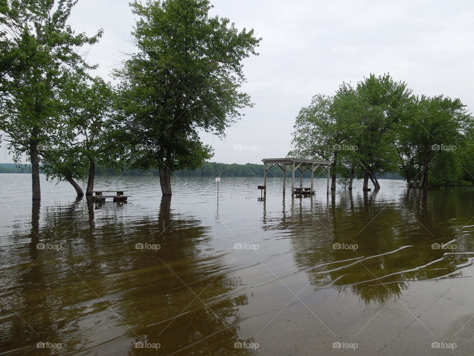 Water, Tree, Landscape, No Person, Nature