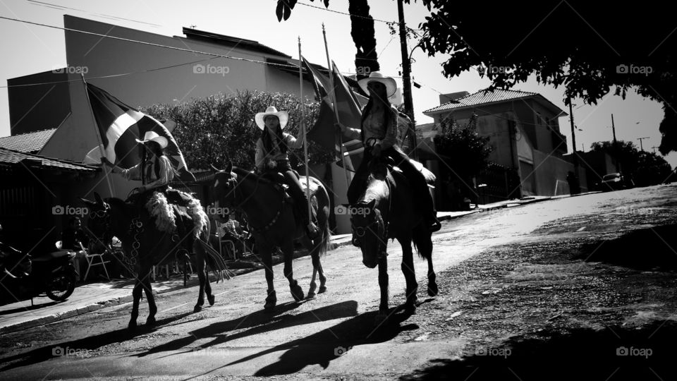 Moças com bandeiras em confraternização, cavalgada nas ruas. Homens e mulheres. Jovens e crianças. Desfile com animais; cavalos,  burros, bois/touros e veículos. Cowgirls, cowboys...