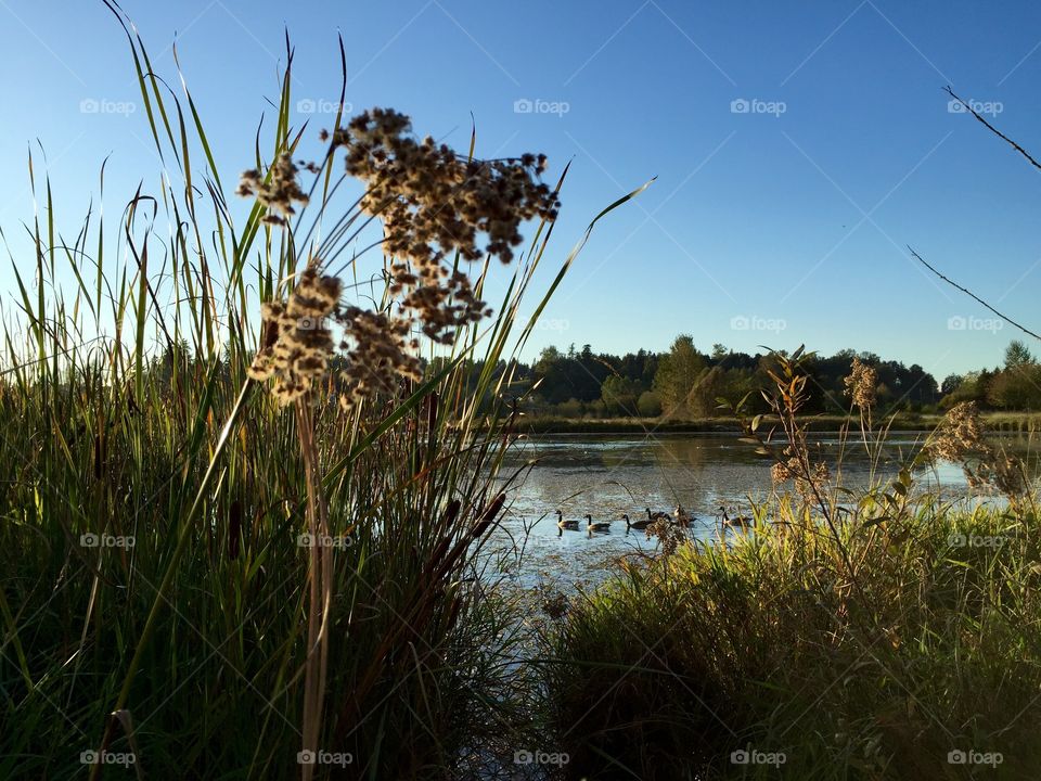 On a nice walk today