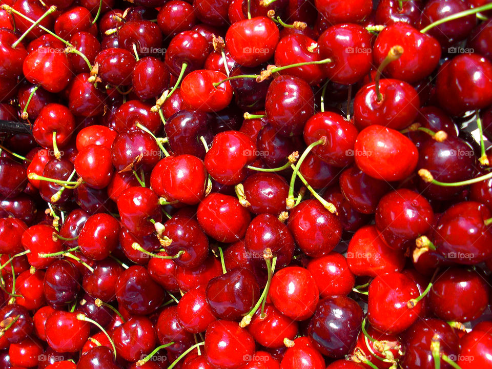Feast of cherries