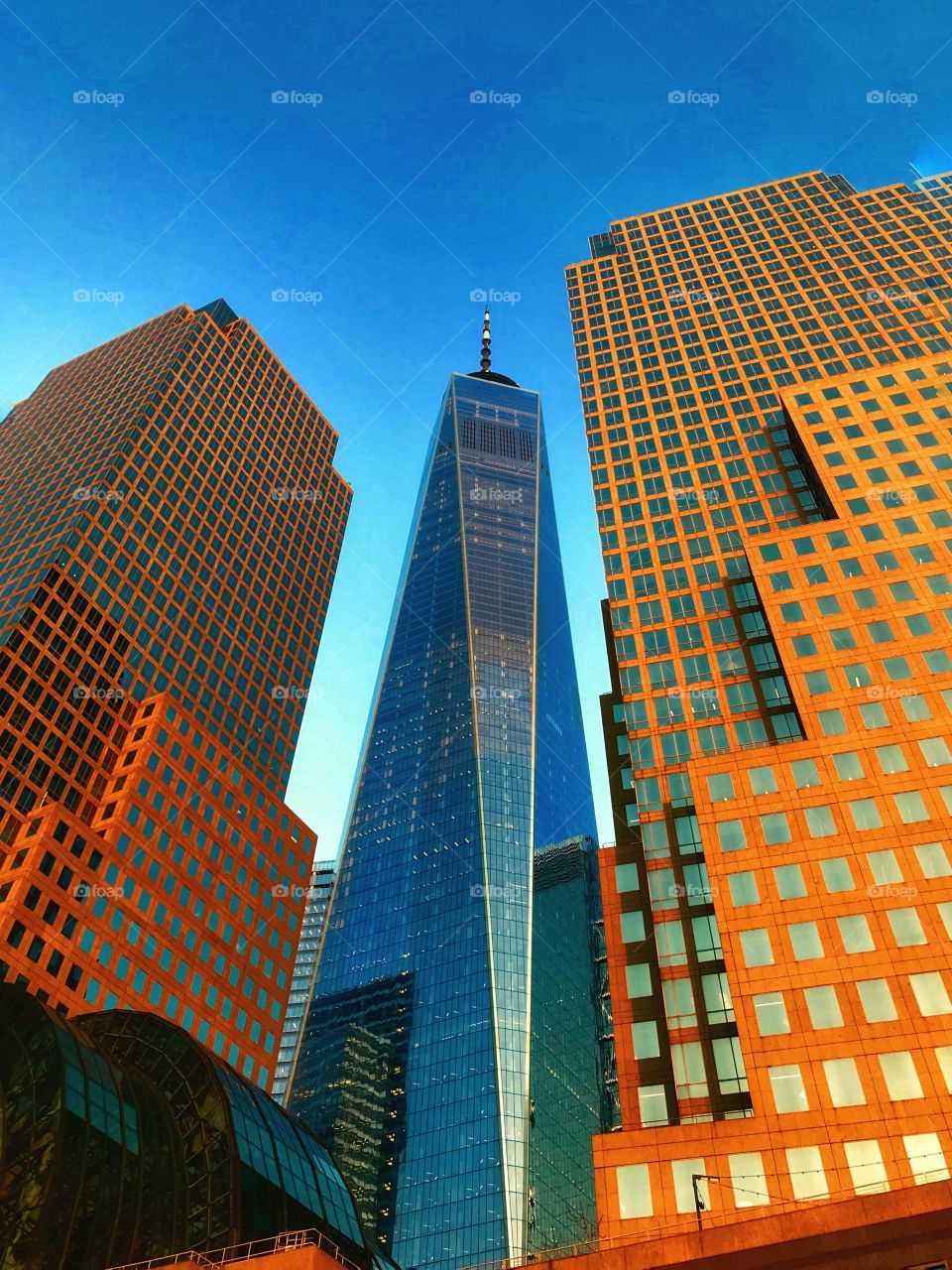 View of One World Trade Center in New York City 