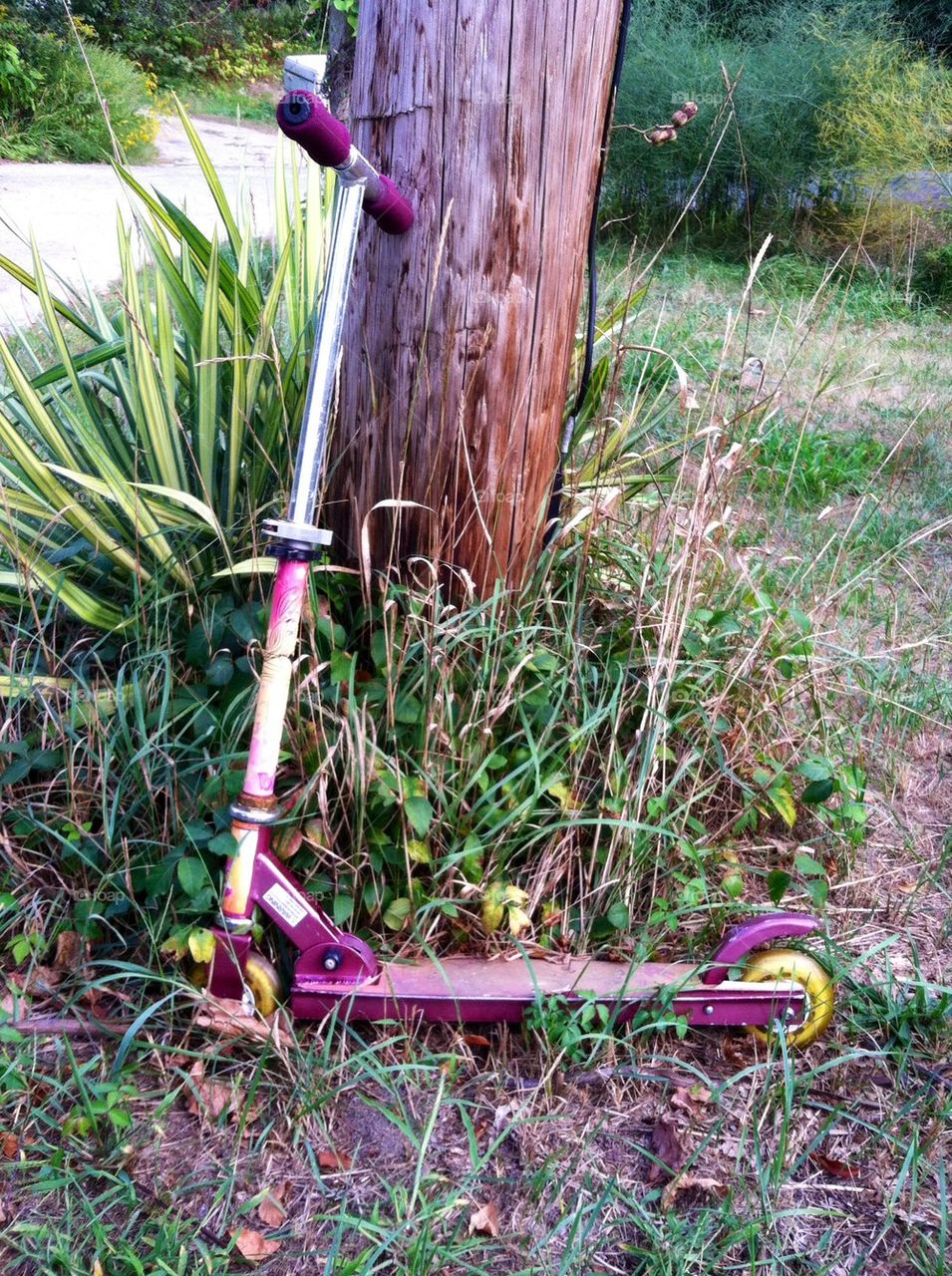 Retired Scooter