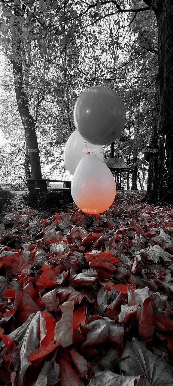 autumn balloons