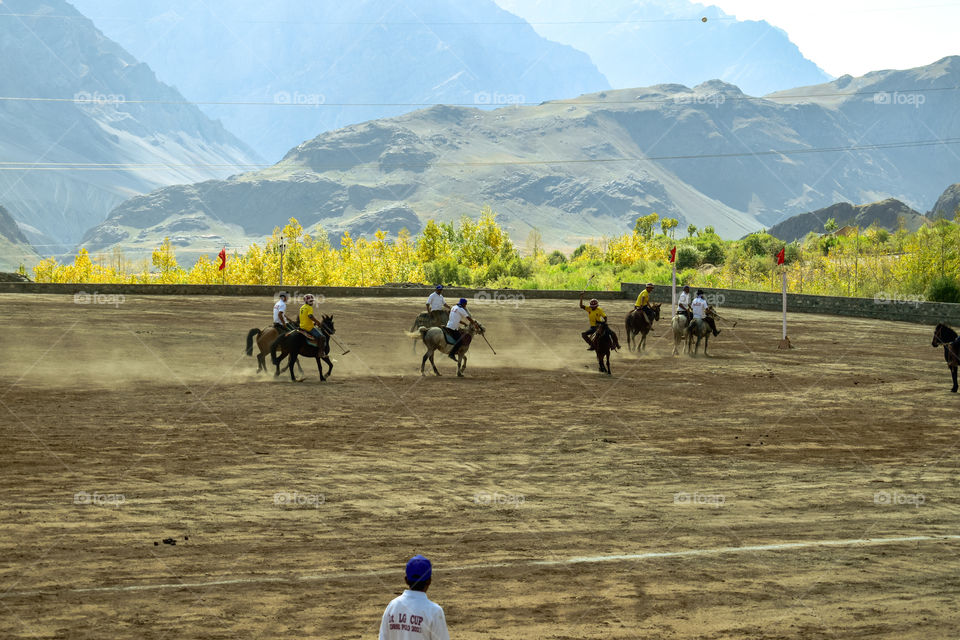 autumn trees and playing mood