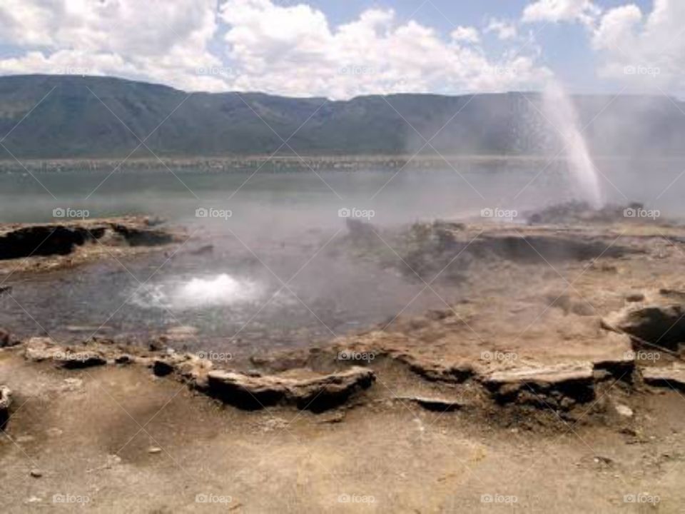 the saline alkaline lake in kenya lake bogoria hot springs