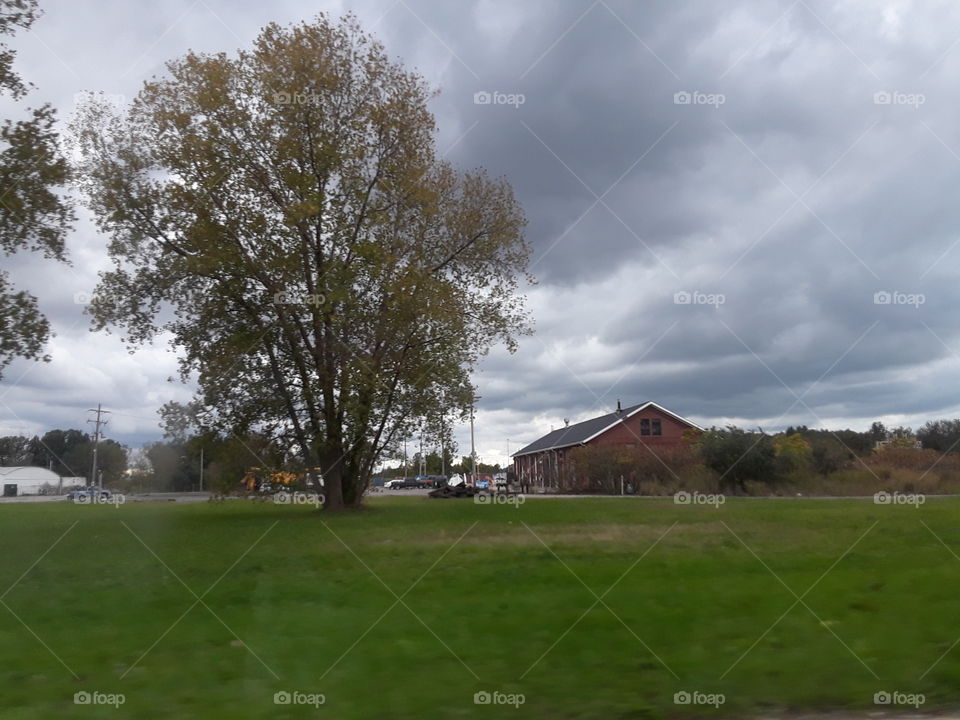 tree clouds n barn