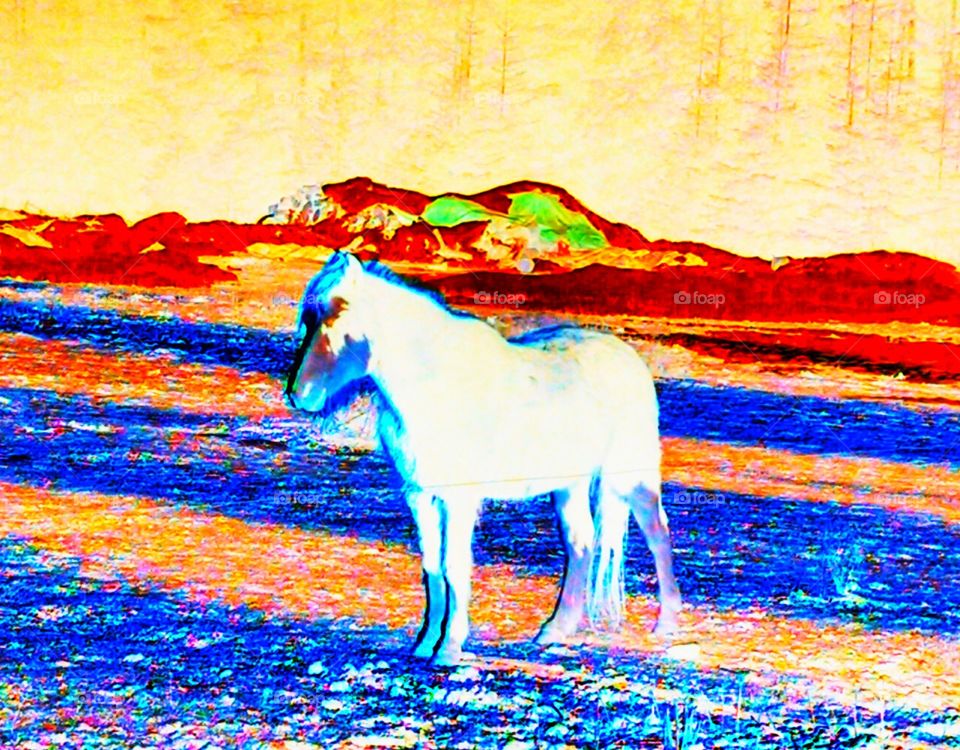 negative horse enhanced