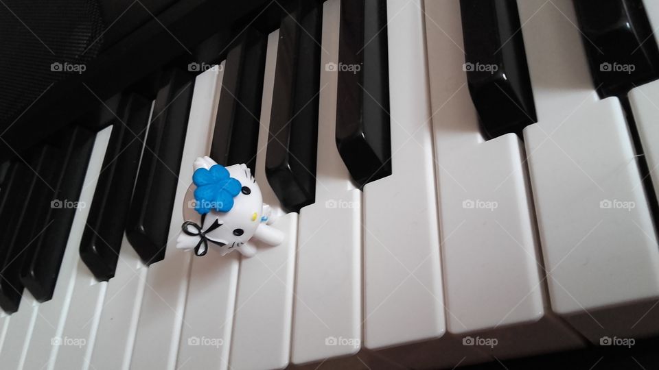 piano and cat