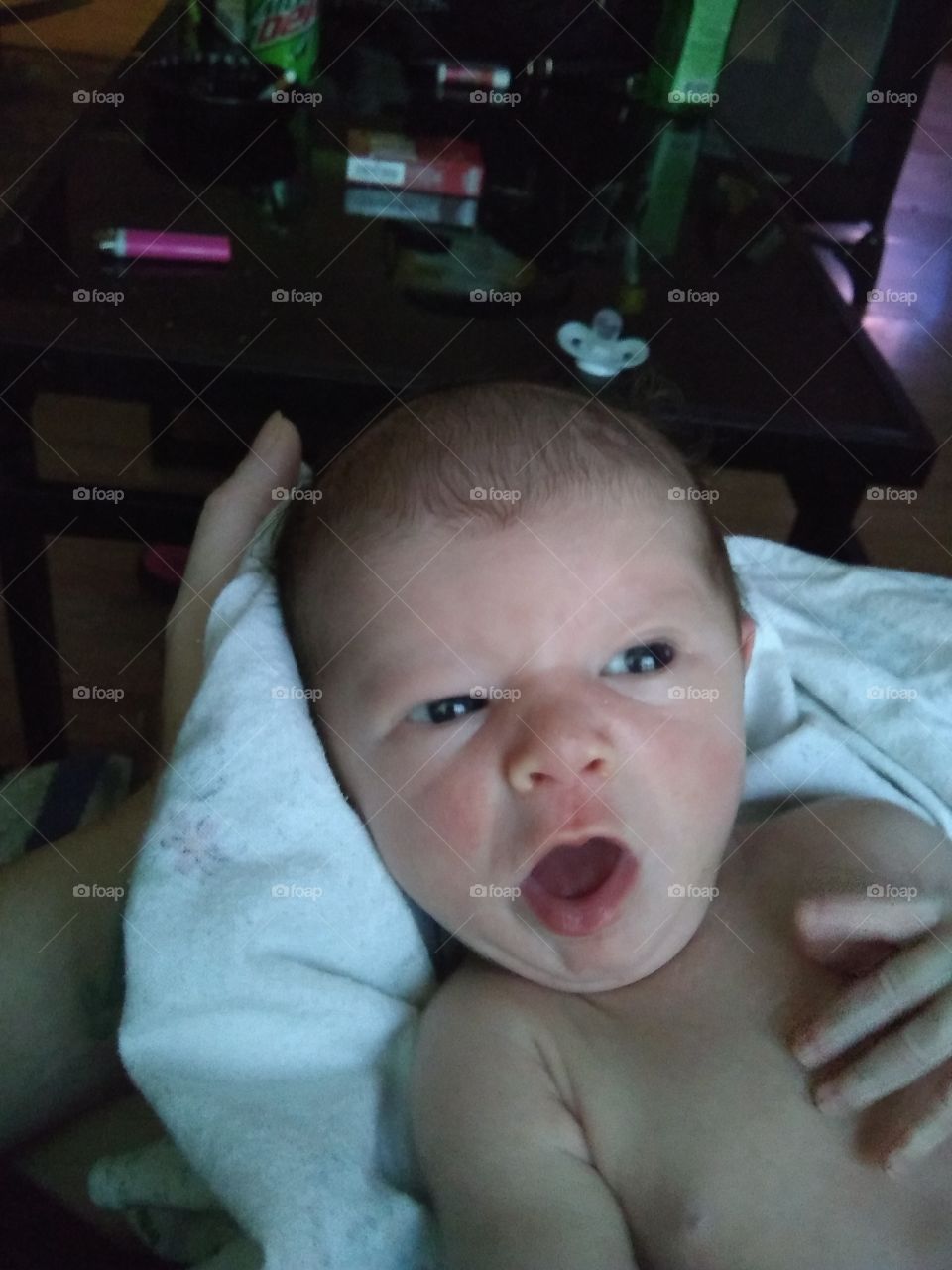 rawwwr!!!! I'm a dinosaur!!