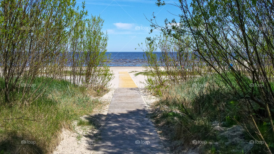 Jurmala pathway