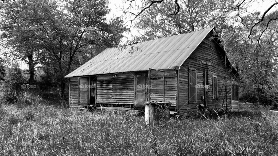 Greyscale Cabin. Black and white version of my mother in laws little cabin