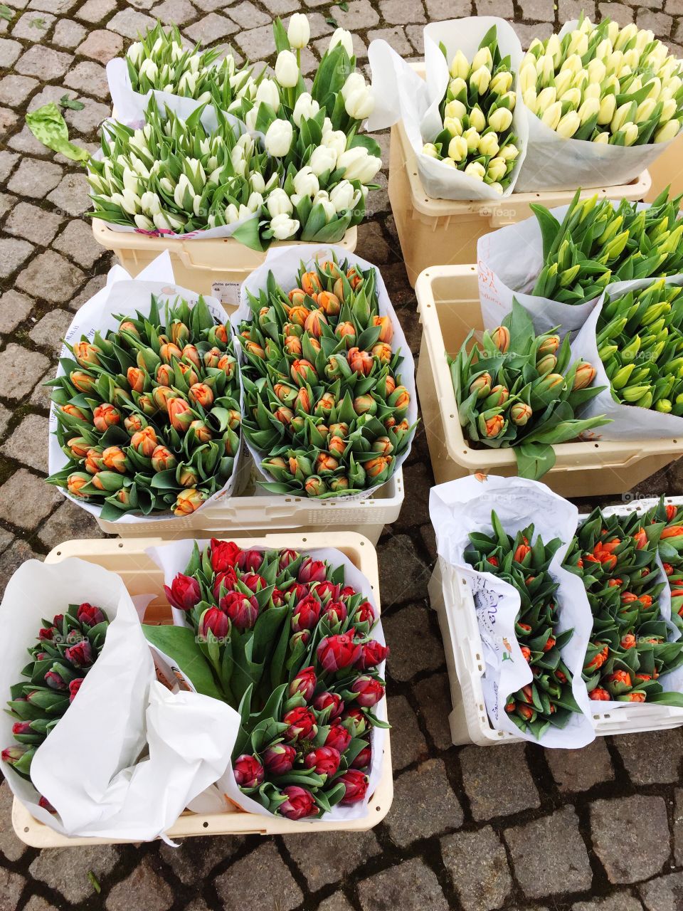 Spring is just around the corner - Bunches of colorful tulips on the floor 