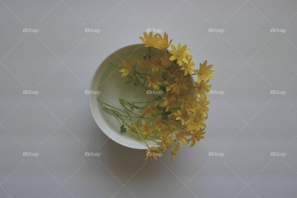 Flowers in the white bowl 