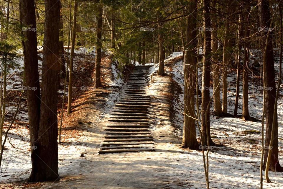 stairs of ice