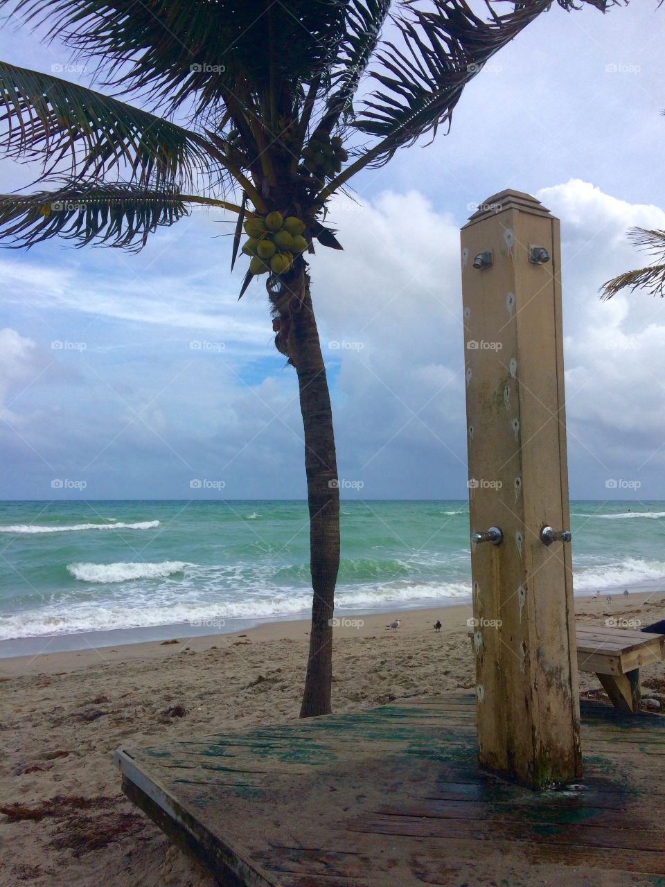 Dania Beach. Dania Beach Florida 