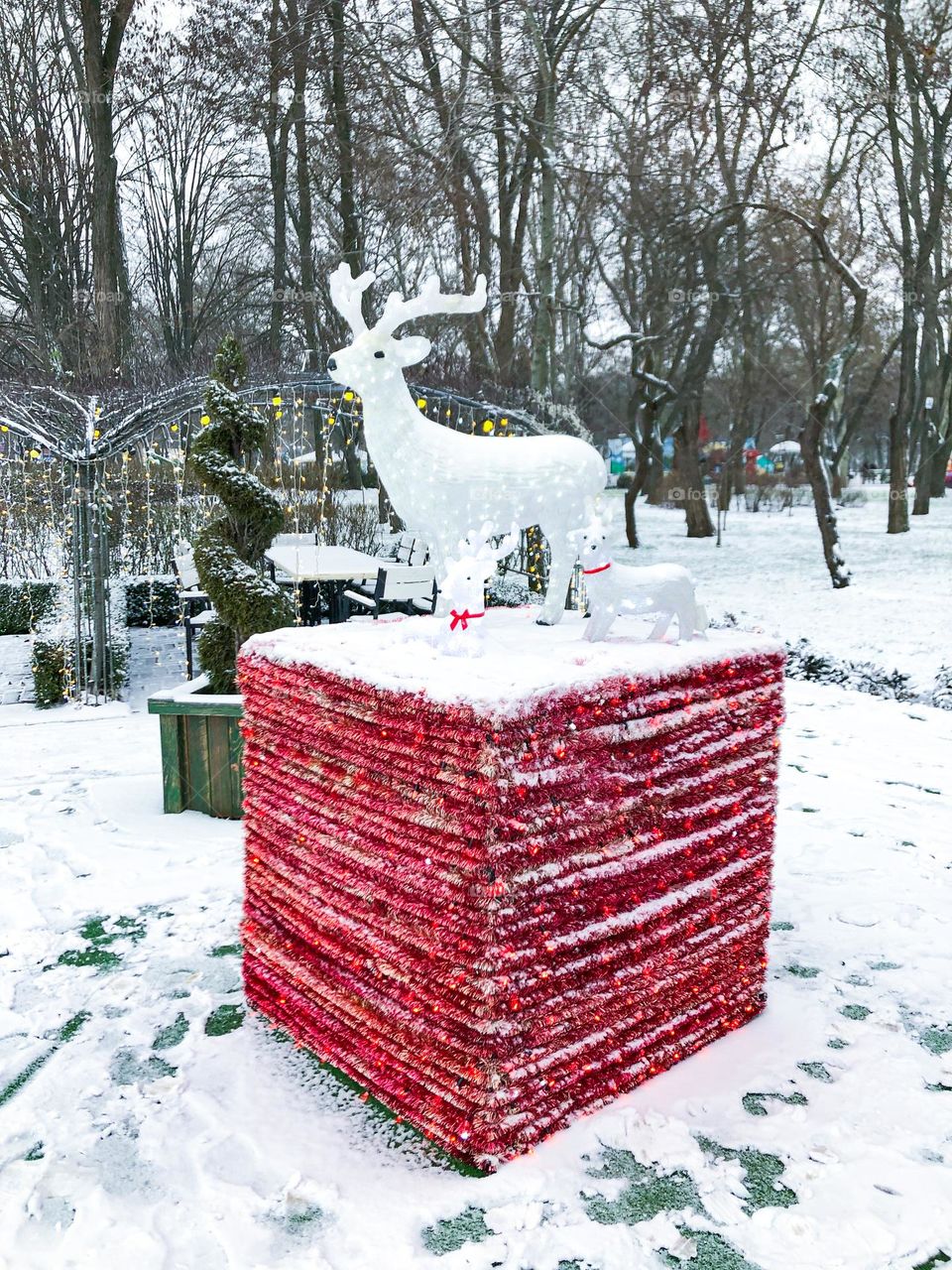 Winter snowy park with decoration with deers on red cube