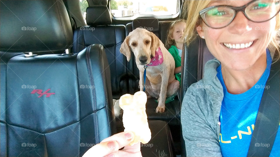 woman in a car giving her dog a freshly made dog biscuit from Biscuitville.