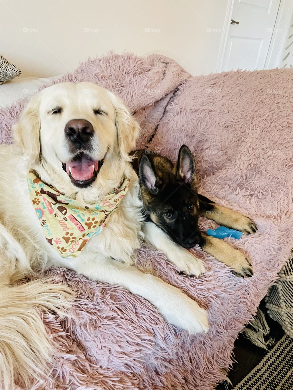 Best friends for life 