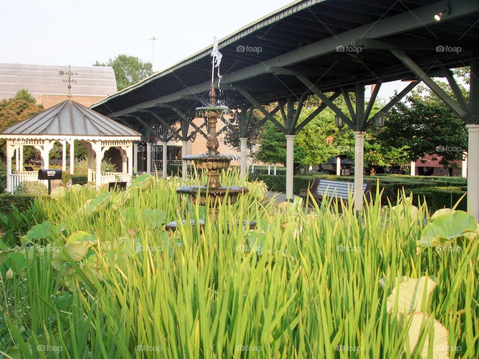 Fountain in Chattanooga TN