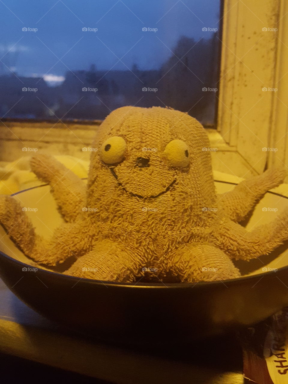 Mr Purple Octopus is chilling in a bowl