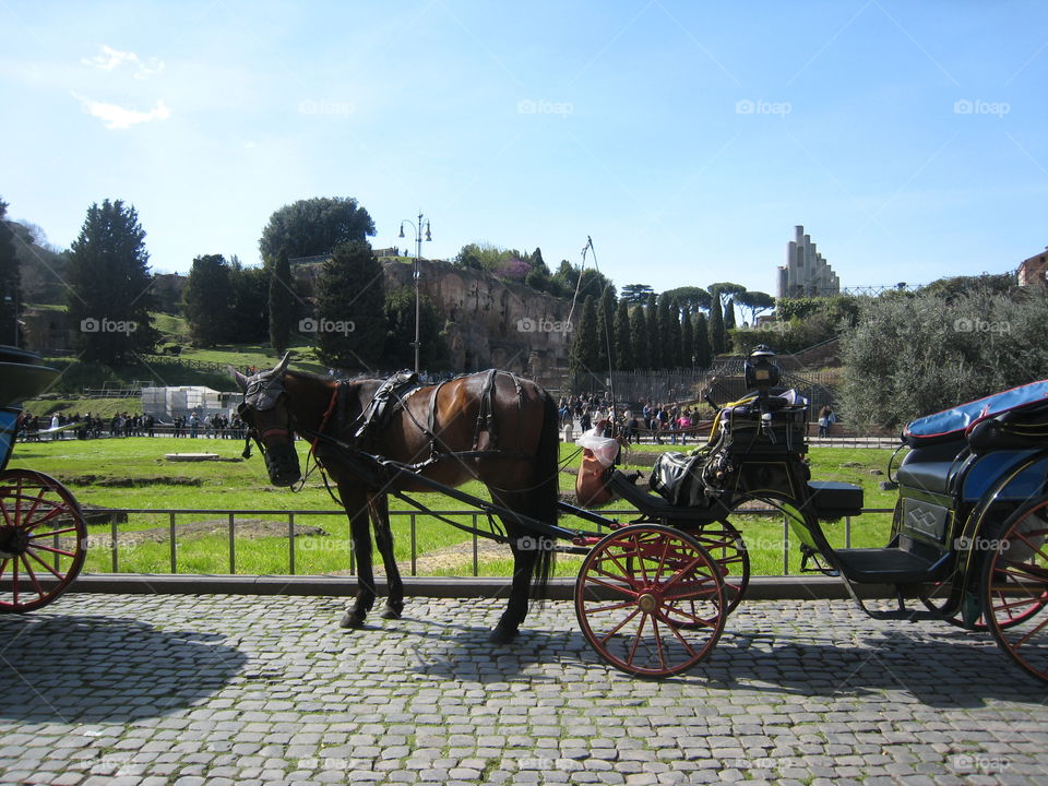 Taxi in rome
