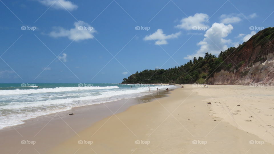 Beach landscape