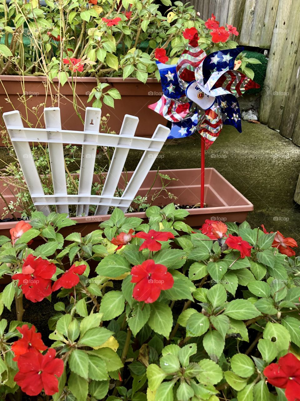 Flowers in the garden 