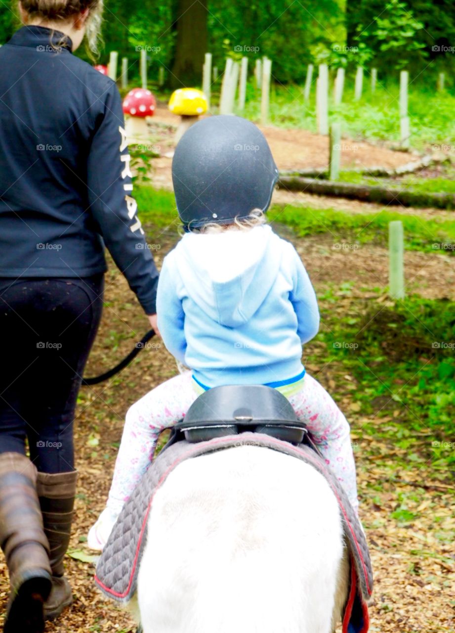 Miniature pony ride in Longleat Forest