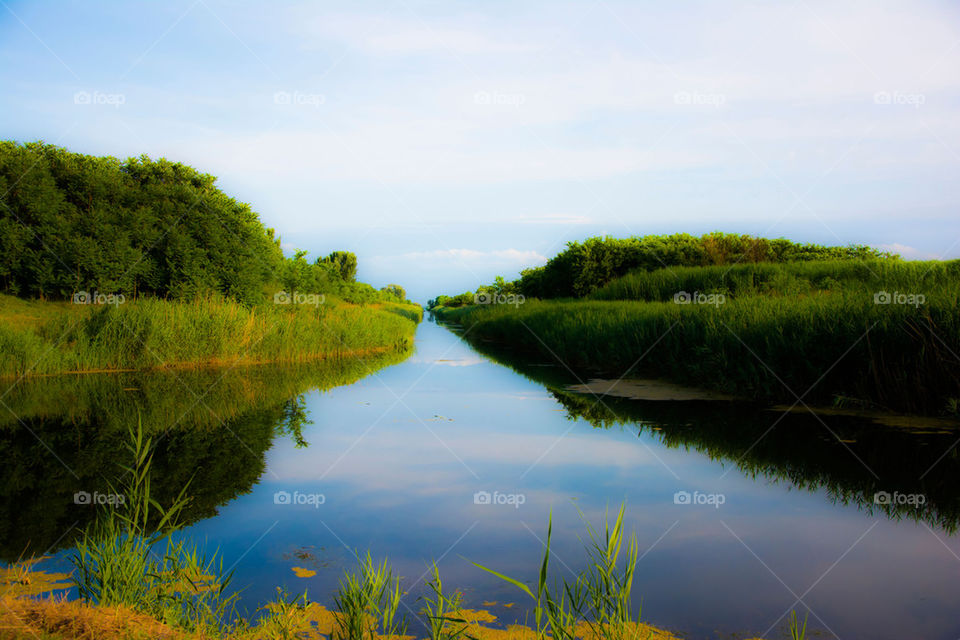 landscape of a river channel