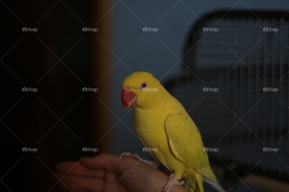 One of the most beautiful animals there is.