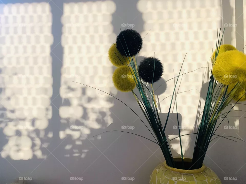 Lights & Shadows