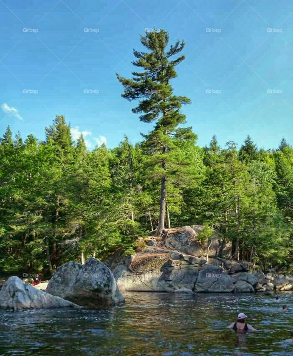 Swimming in the High Peaks!