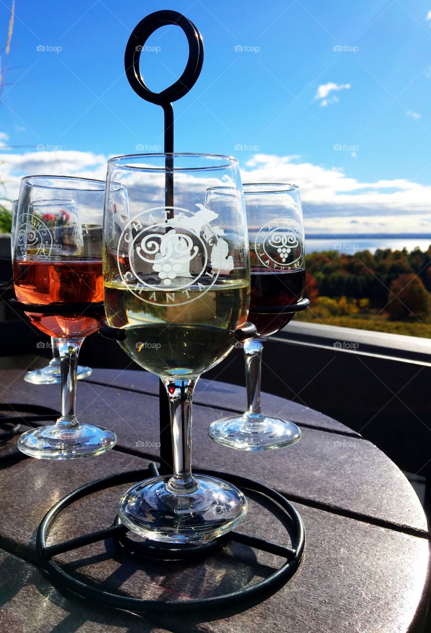 Michigan Wine Country