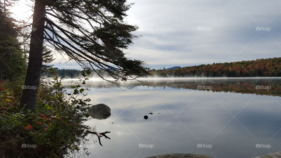 Water, Landscape, Lake, Tree, No Person