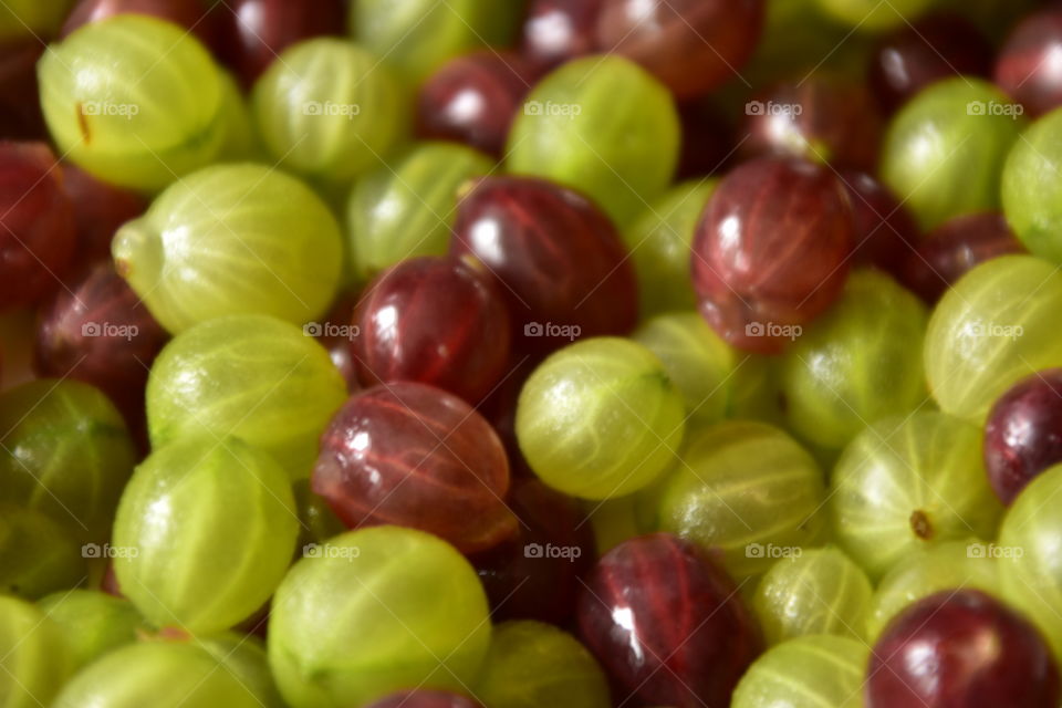 Red and green gooseberries 