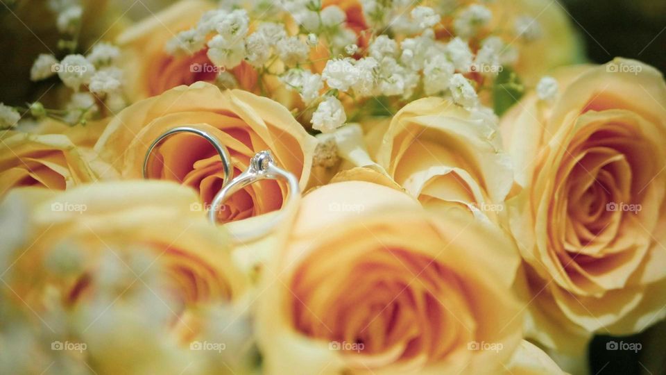 wedding ring in the middle of a rose