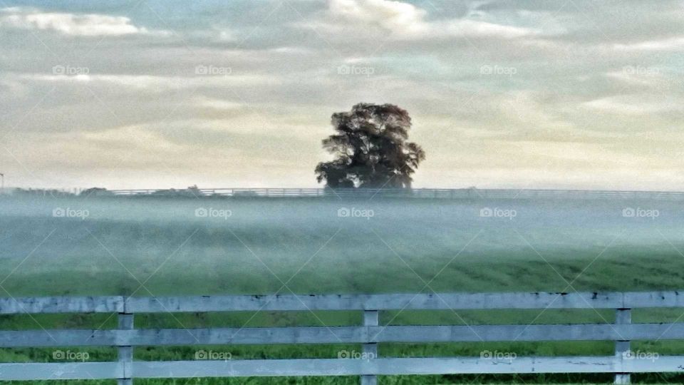 Fence on grassy field during foggy weather