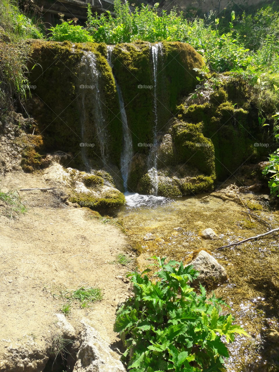Water, Nature, Waterfall, Stream, Rock
