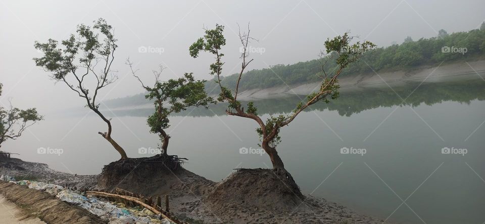 Sundarbans - The beauty of the famous islands