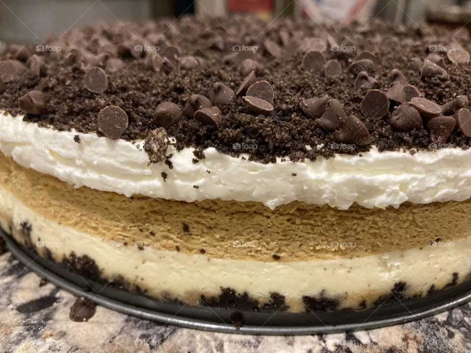 Chocolate Pumpkin Cheesecake 