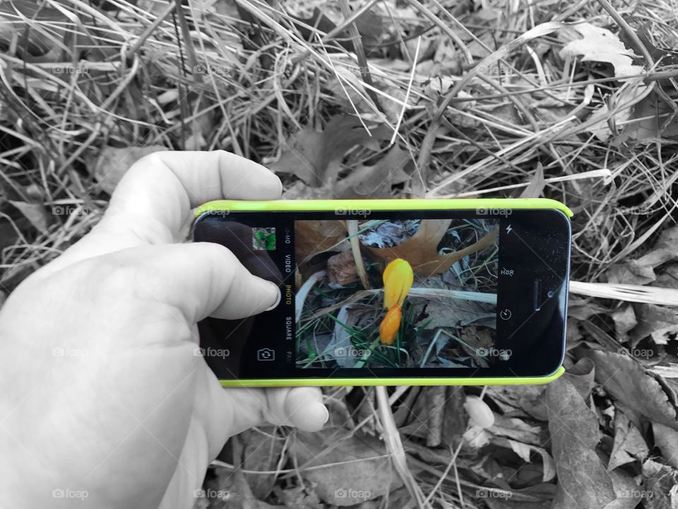 Color pop photographer taking pic of flowers