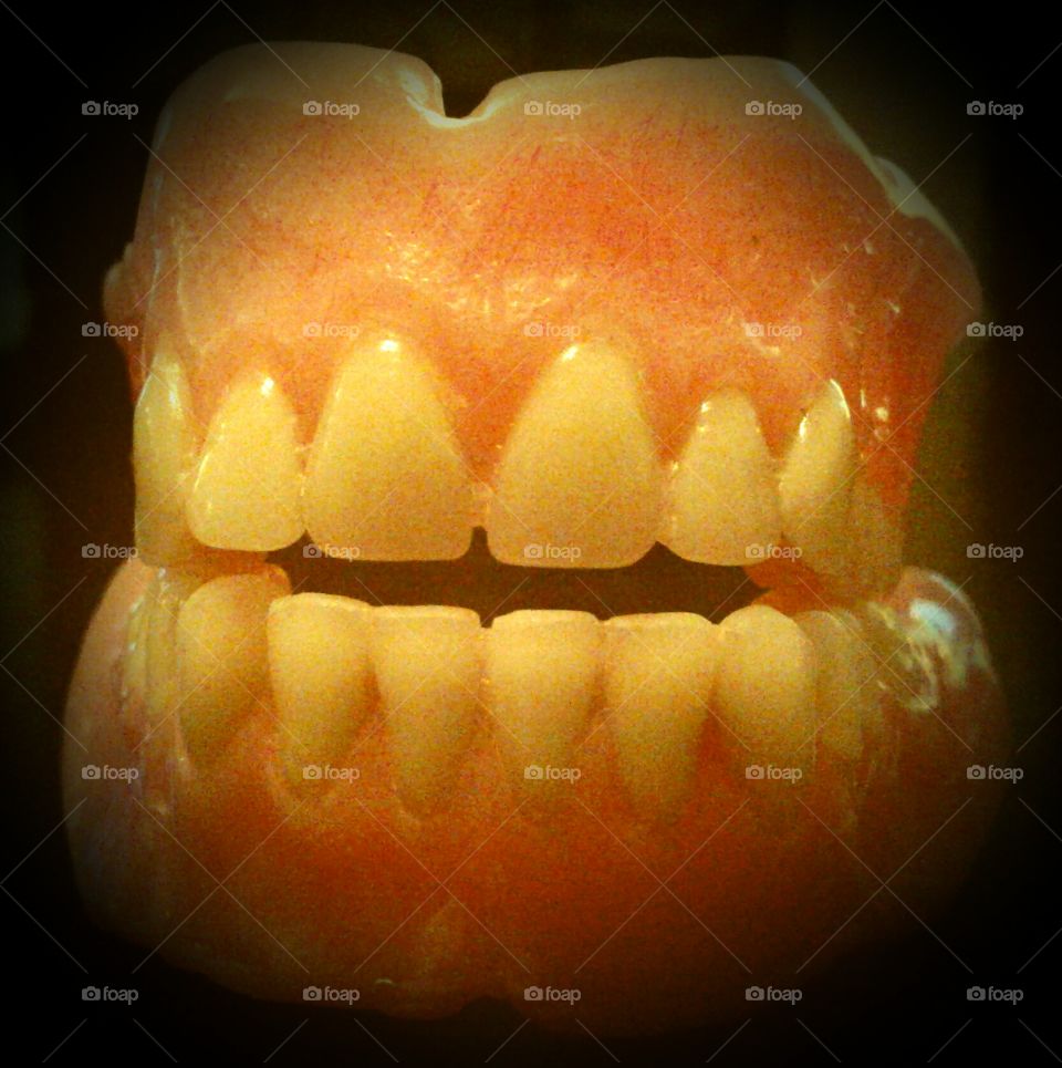 Tooth, Teeth, Dentistry, Mouth, Bite