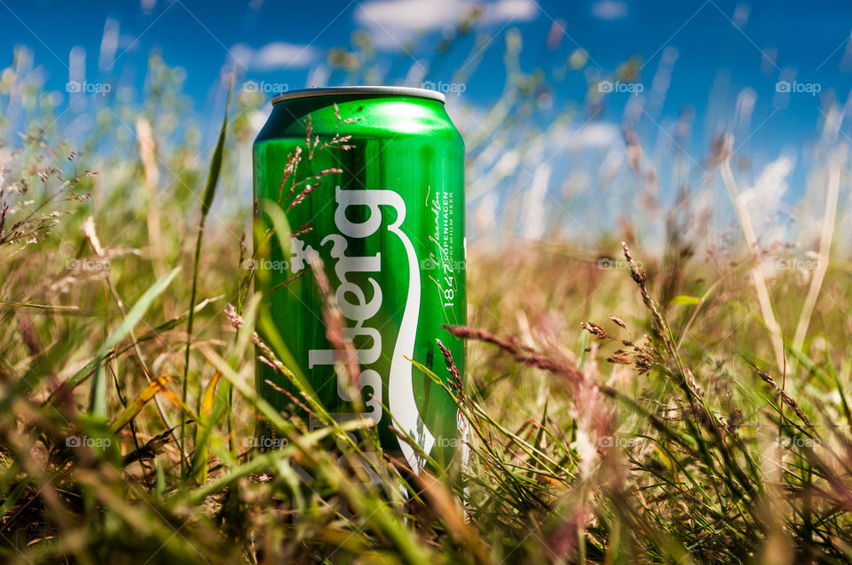 Beer in grass Carlsberg