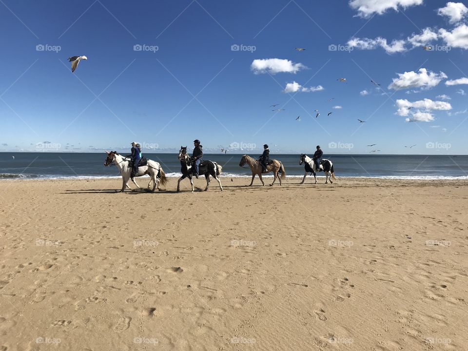 Tourist take horse back riding lessons on Virginia beach