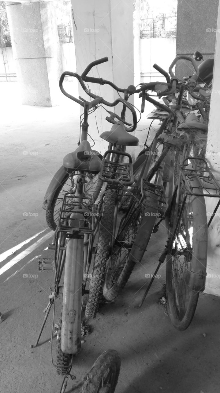old cycle