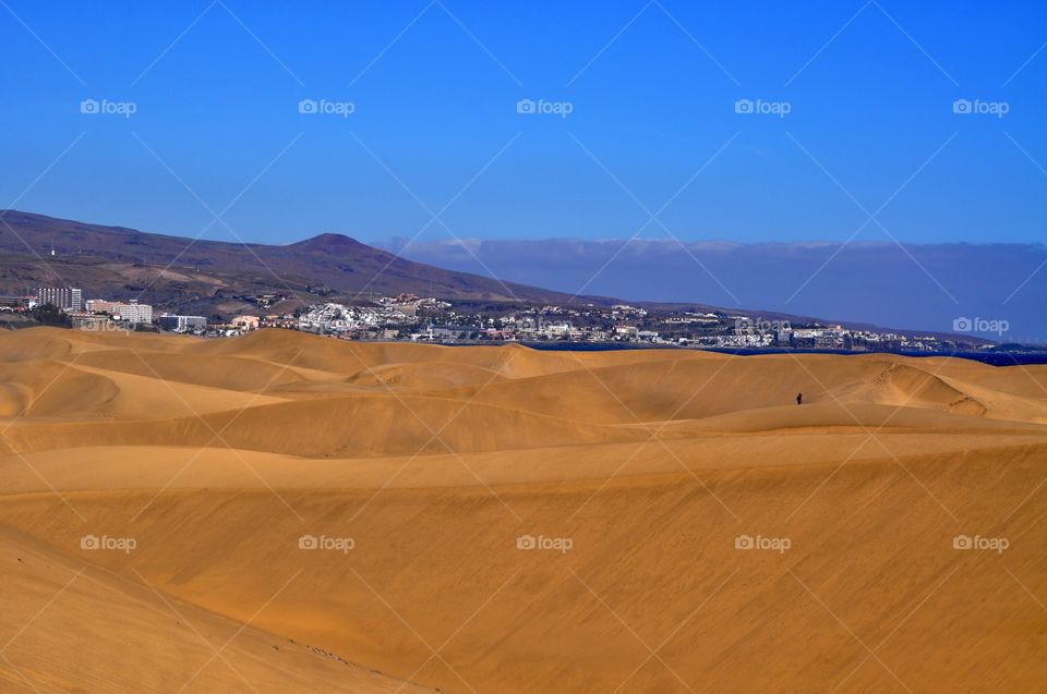 dunes of maspalomas gran canaria canary Island in Spain