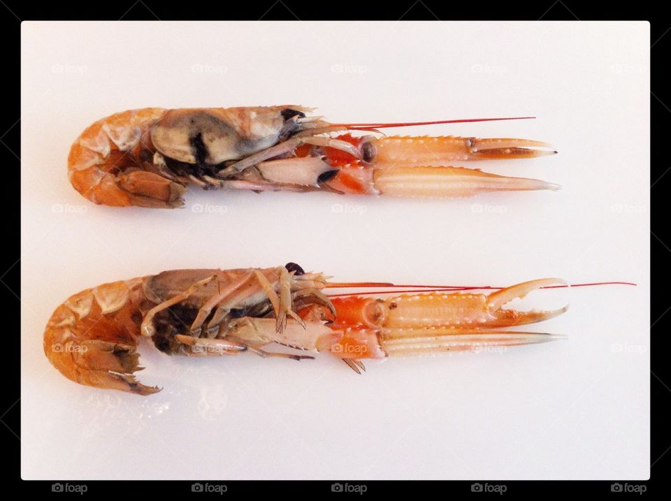 Langoustine 