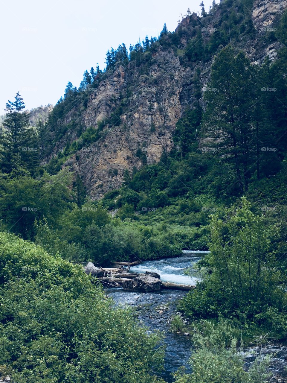 Stream and Mountain 