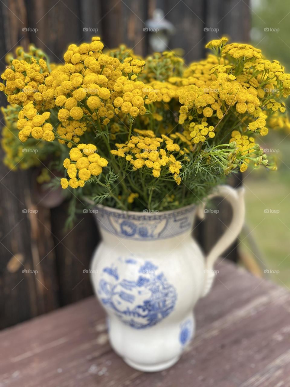 Yellow flowers in a vase