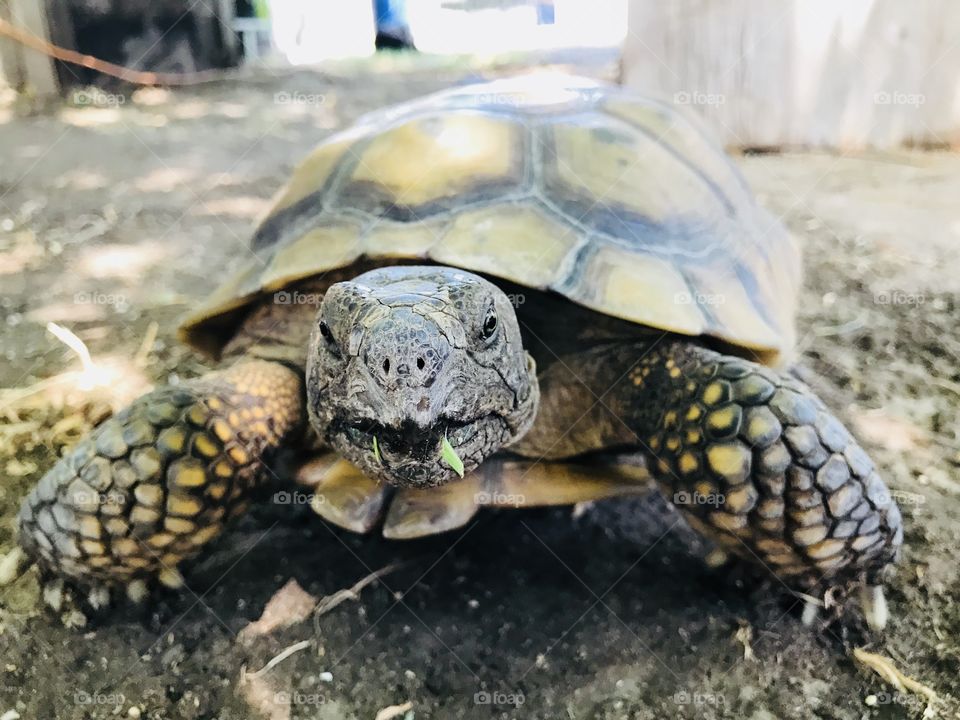 Is something on my face? 